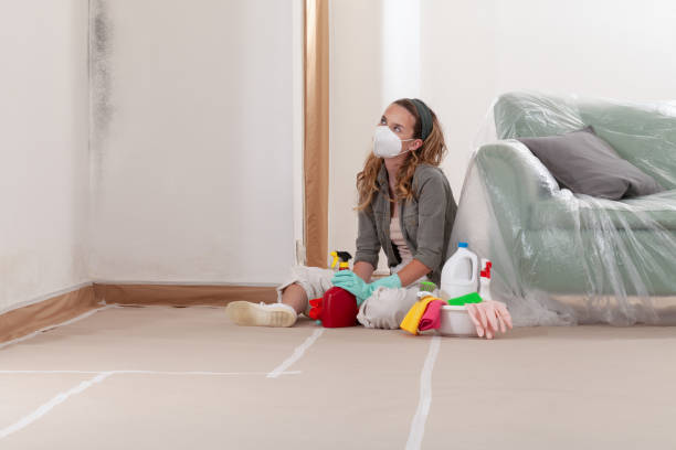 Reliable Mold Remediation contractor in Ashville, PA by WQB Mold Removal